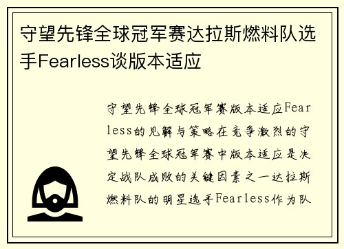 守望先锋全球冠军赛达拉斯燃料队选手Fearless谈版本适应